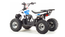 ATV Motoland 110 EAGLE (2020г.)