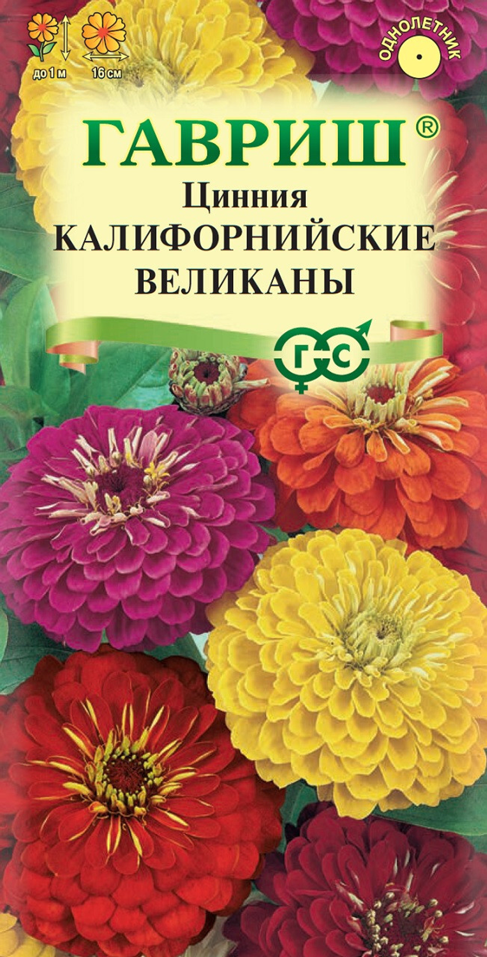 Цинния Калифорнийские великаны
