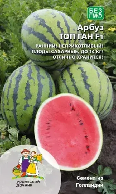 Арбуз Топ ган F1 УрДачник