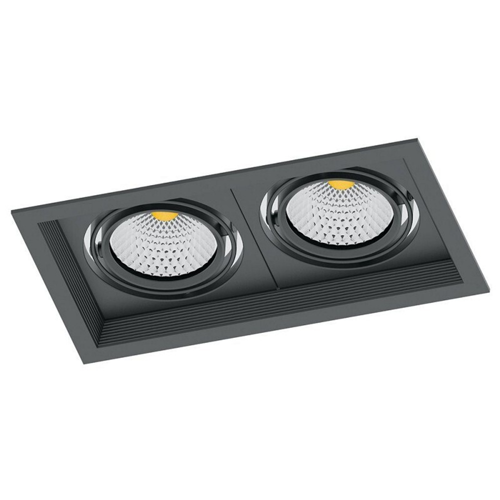 Светильник карданный светодиодный 2x20W 3600 Lm. 4000К. 35 градусов. черный. AL202 с драйвером и клеммой в комплекте