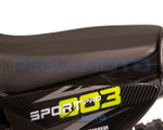 Мотоцикл Regulmoto Sport-003 PR PRO 300 (4 valves) 6 передач с ПТС