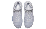 Кроссовки Jordan Air Jordan 32 Pure Platinum
