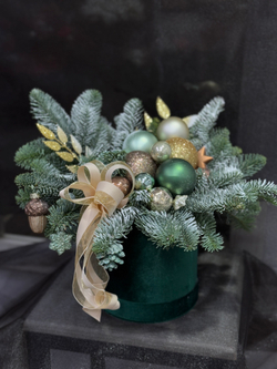 Композиция из живого нобилиса в бархатной шляпной коробке изумрудного оттенка