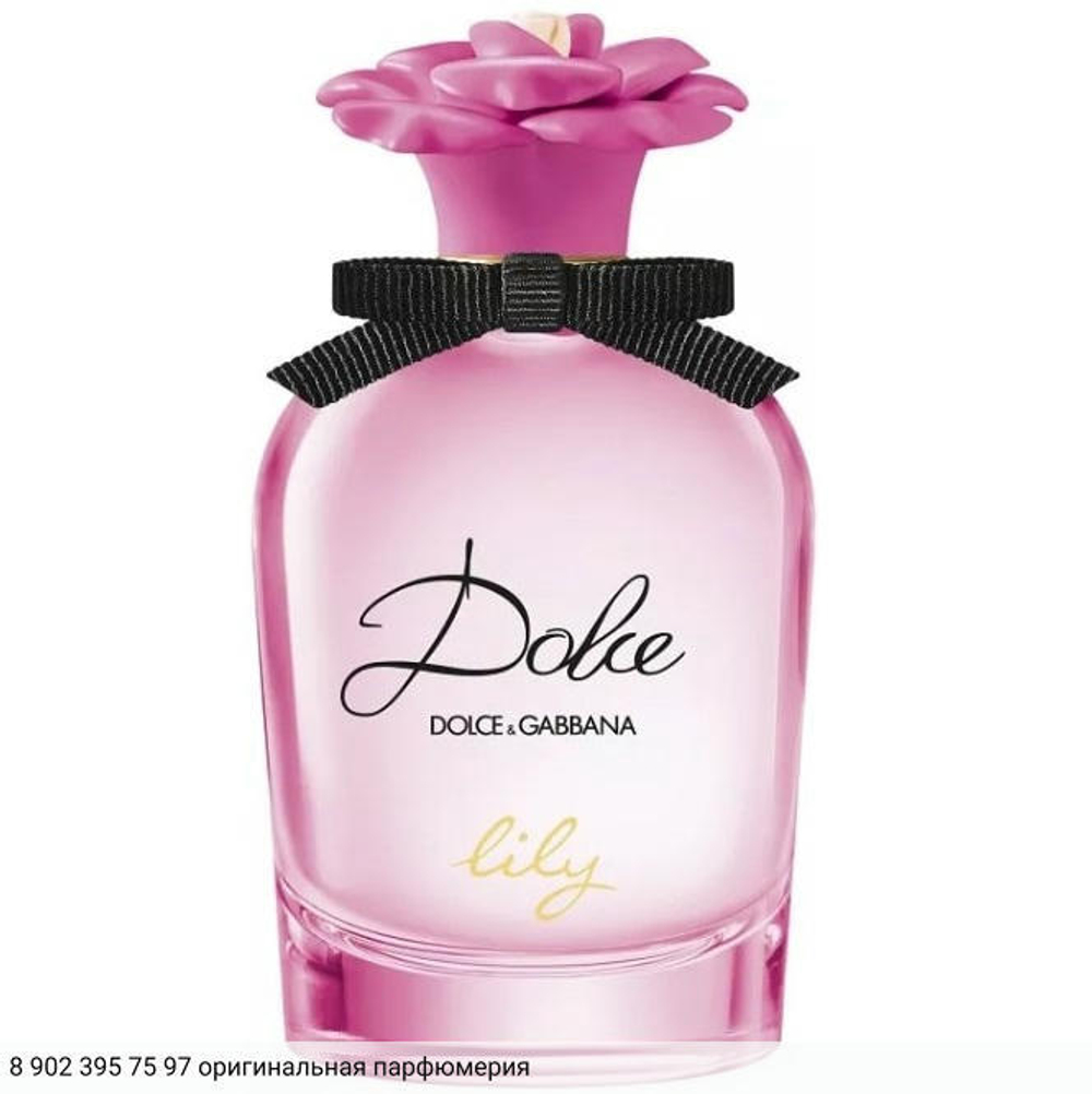 Dolce Lily