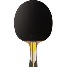 Ракетка для настольного тенниса DOUBLE FISH 6A+C, ITTF Approved, + 2 мяча