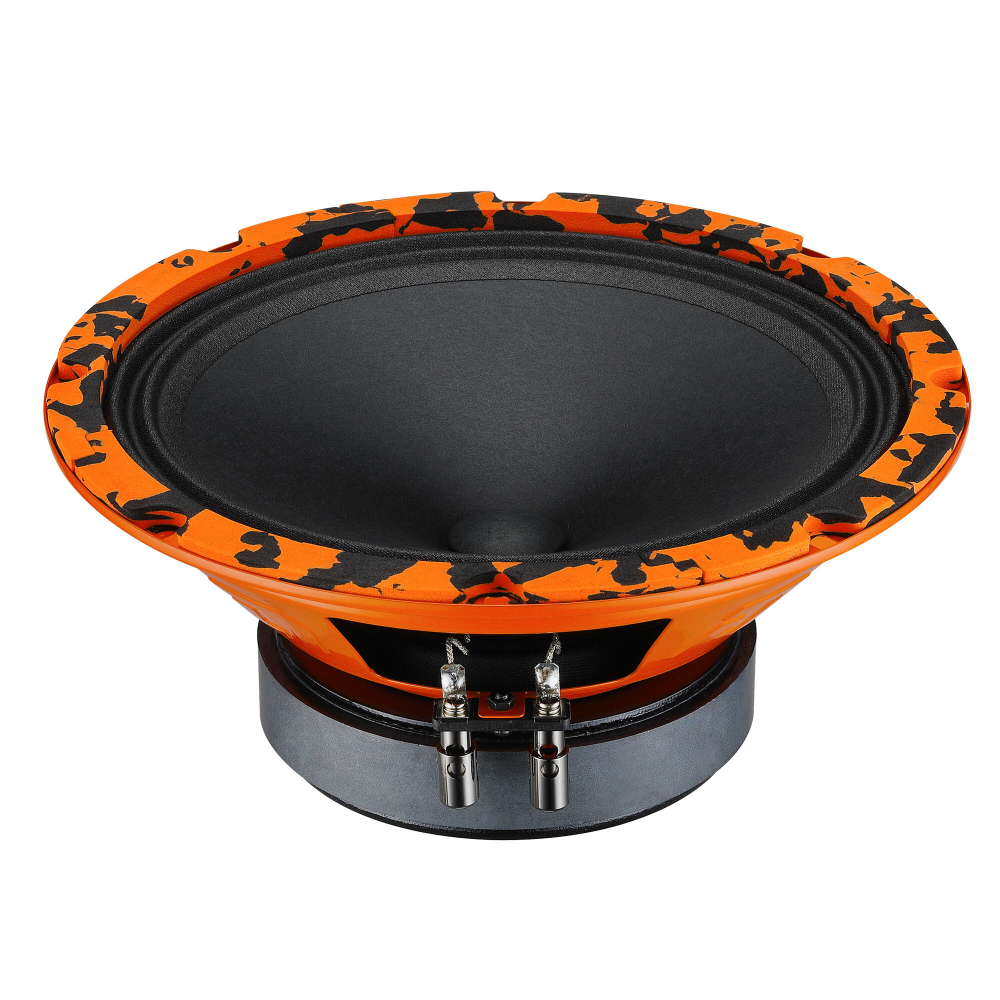 DL Audio Gryphon Pro 200 акустическая система