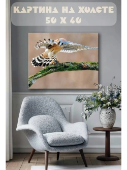 Картина на стену 40 X 50 Птица