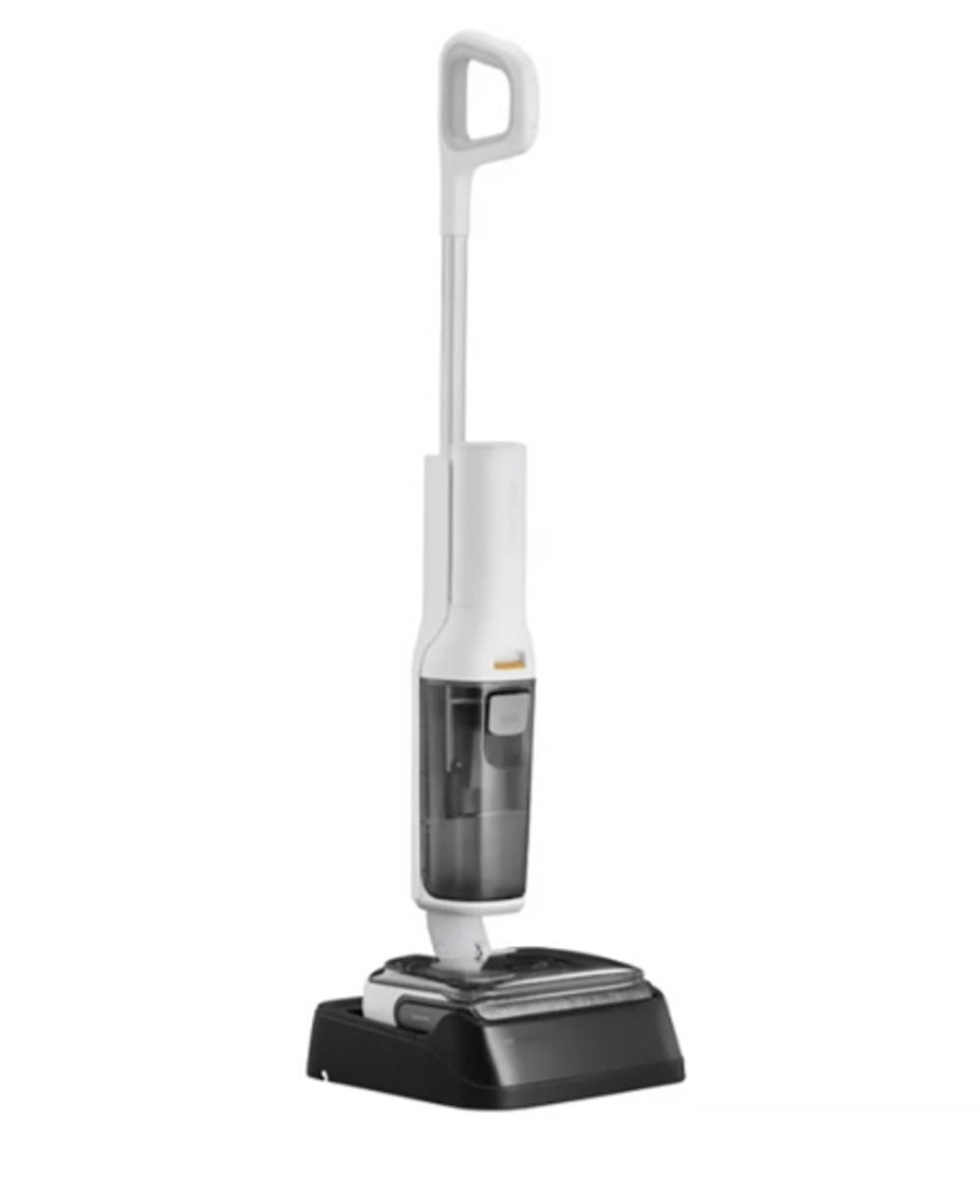 Roborock F25 RT White (WD5M7B)