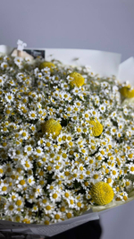 Солнце в тебе