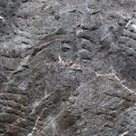 Гибкая керамика PHOMI, коллекция DEVINE MUSHROOM STONE