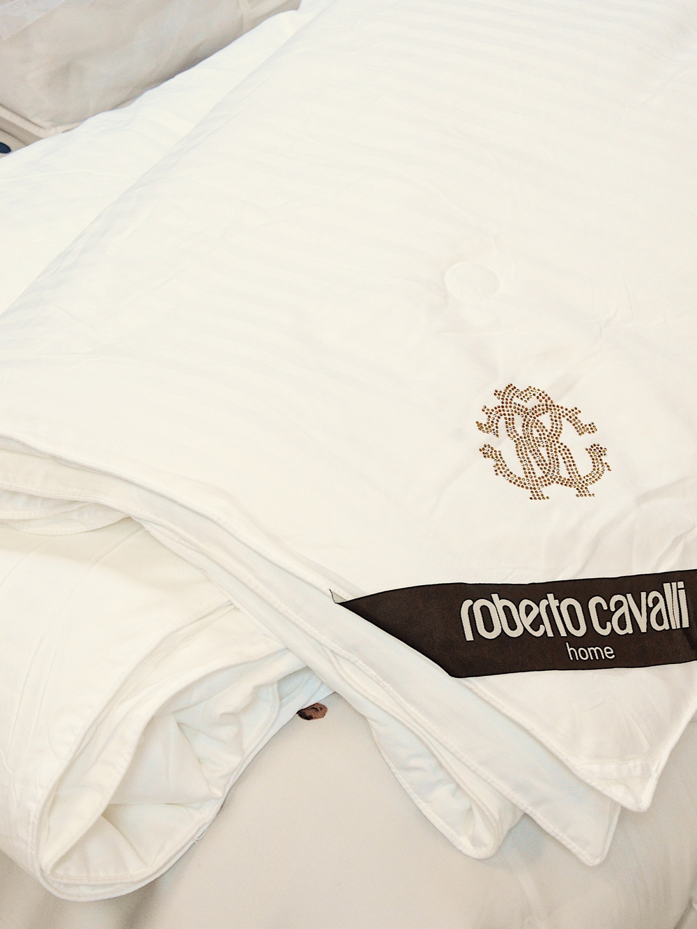 Базовое одеяло Roberto Cavalli 200x230