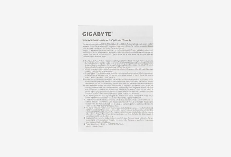 GP-GSTFS31256GTND_0426606105307