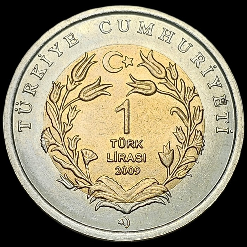 Морская черепаха