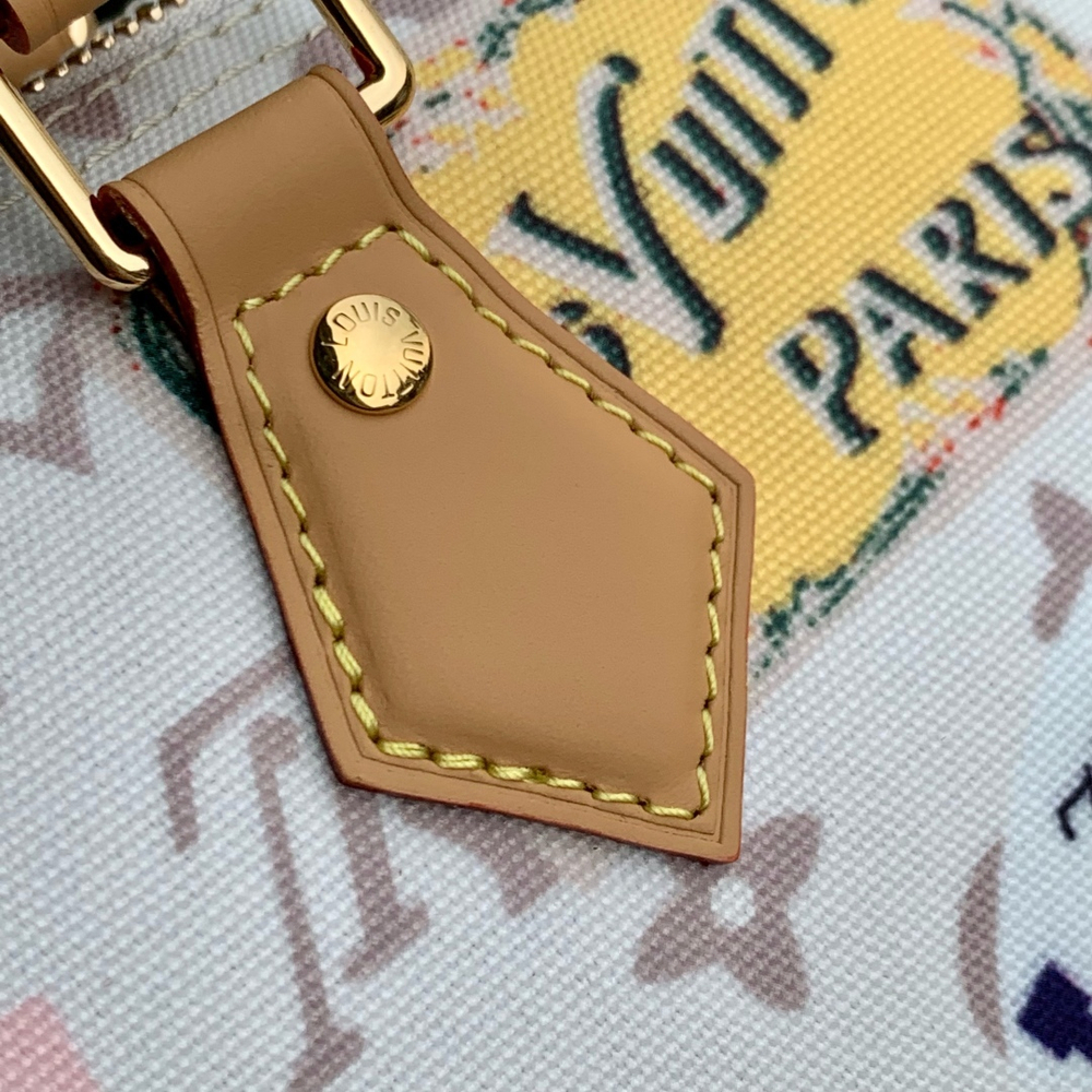 Louis Vuitton Speedy Soft 30