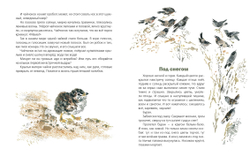 С днём Рождения!