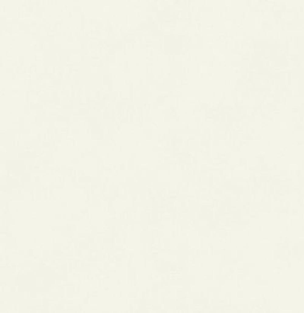 Обои матовые с иммитацией штукатурки BLONE1009