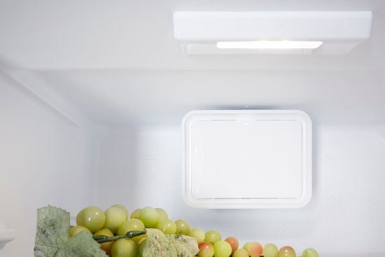 Встраиваемый холодильник Hotpoint-Ariston B 20 A1 FV C/HA