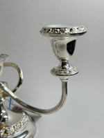 Подсвечник с роузбоулом Ianthe