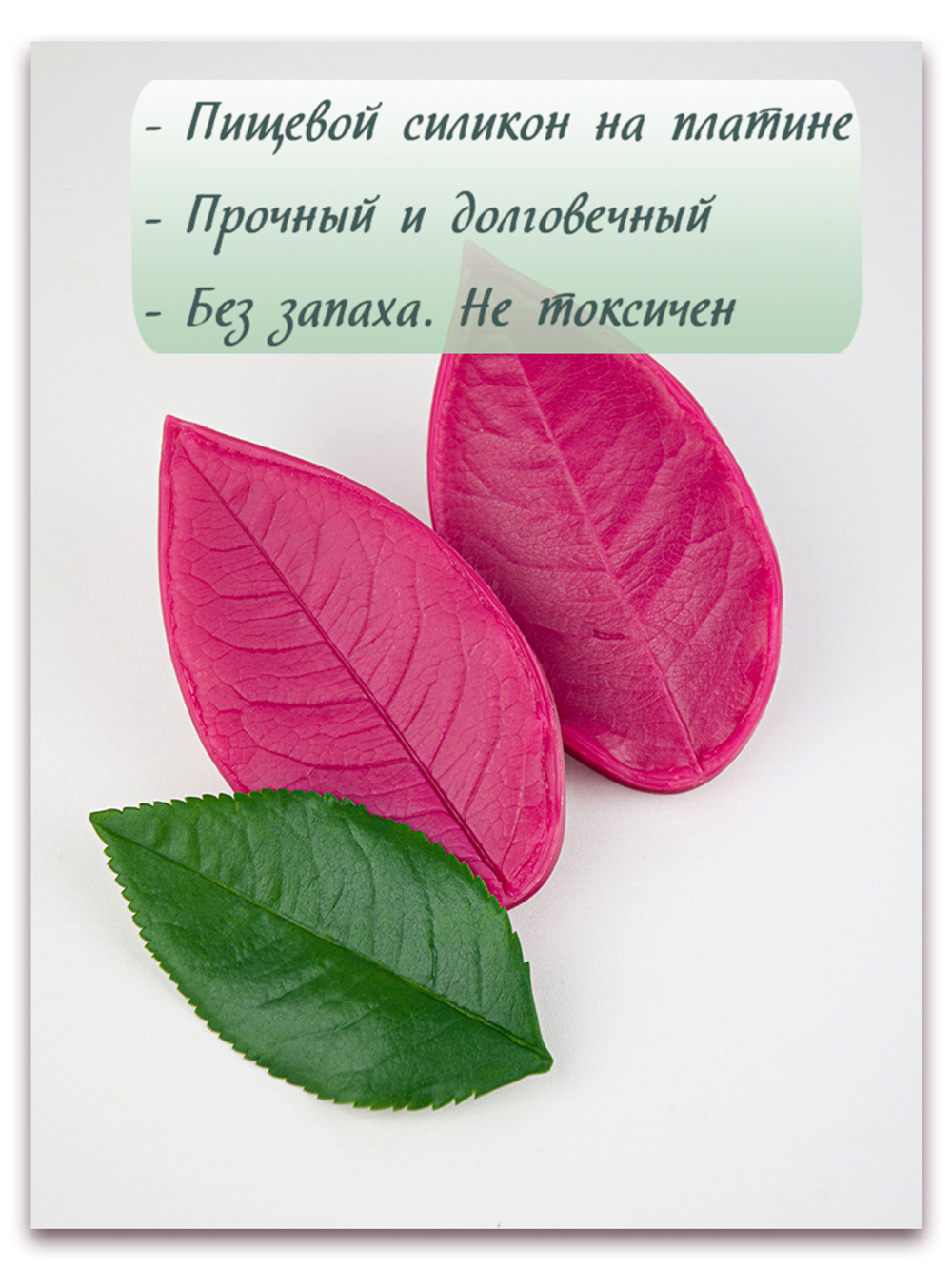 Лист розы XL