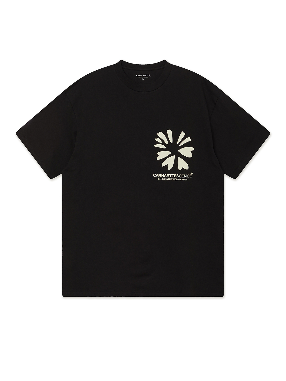 Мужская Футболка Compy