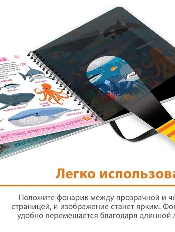 Секретная книга с волшебным фонариком «Зооленд», 22 стр.