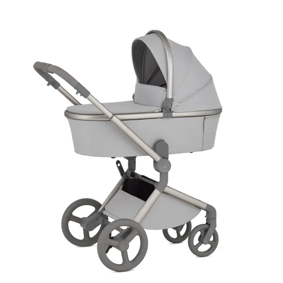 Коляска ANEX Flo 3 в 1 Frossy