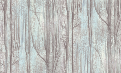 АСПЕКТ Deluxe 1,06 м 70392-26