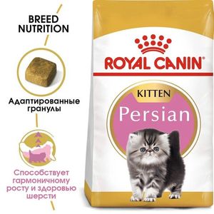 Корм для котят персидской породы, Royal Canin Persian Kitten