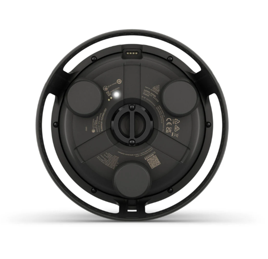 Умный буй Garmin Descent S1