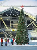 Уличная елка каркасная "Евро-2" (пвх) 19 м