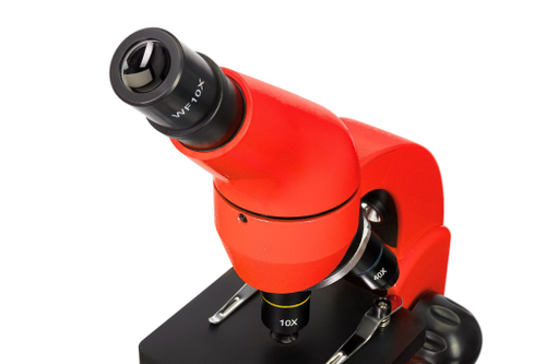 Микроскоп Levenhuk Rainbow 50L Апельсин c Levenhuk K50