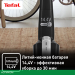 Пылесос Tefal TY6545RH