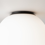 Потолочный светильник Maytoni MOD427CL-L10B3K