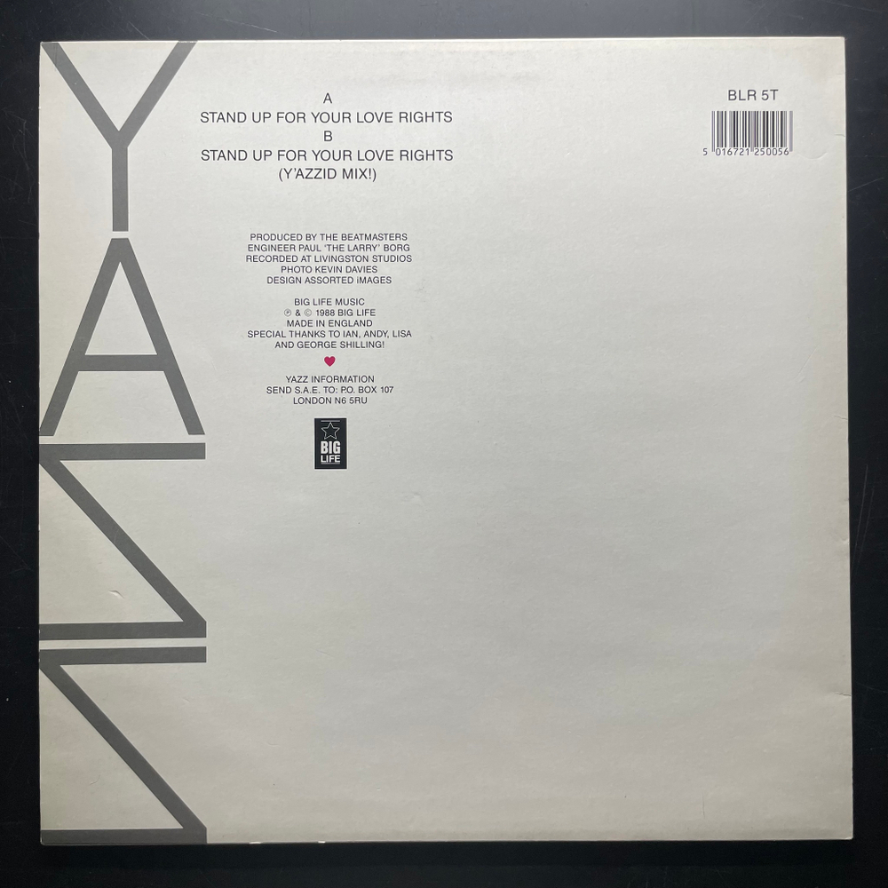 Yazz ‎– Stand Up For Your Love Rights (Англия 1988г.) 12", 45 RPM