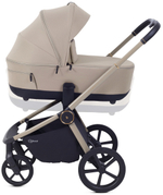 Детская коляска Rant Flex Therm Soft 3 в 1 с автокреслом Evomax Grey Sandy Beige
