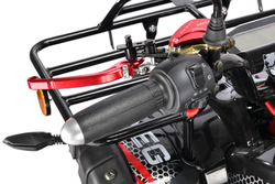 Электроквадроцикл White Siberia PRO SNEG 3000W Черный