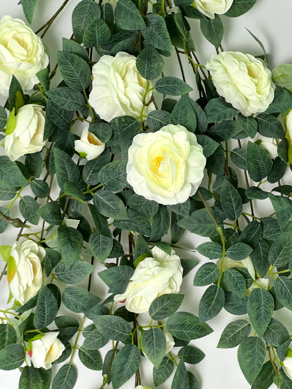 Роза ампельная белая