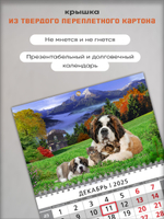 Настенный квартальный трехблочный календарь "Сенбернары"