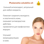 Масло сача инчи, нерафинированное