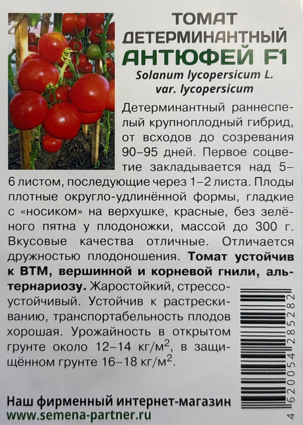 Томат АНТЮФЕЙ F1 ^(0,1г) 2-ой пак СМТ-31