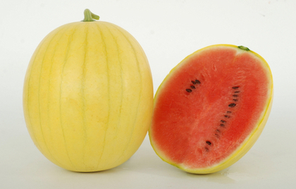 Арбуз Барсон (чп)