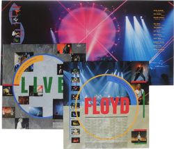 Pink Floyd. Delicate Sound Of Thunder (2 LP) Пинк Флойд