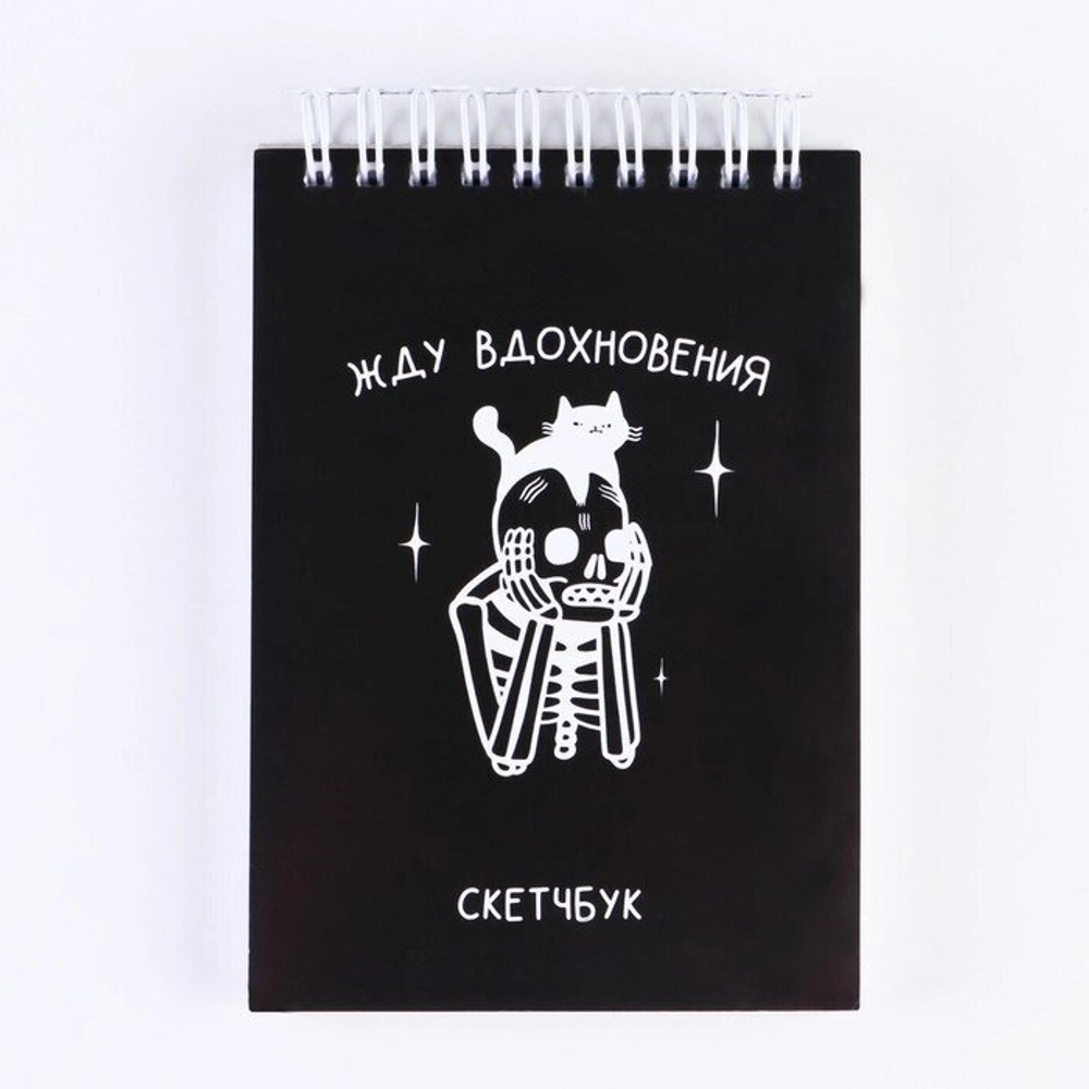 Скетчбук А6, 80 л. 100 г/м «Жду вдохновения»