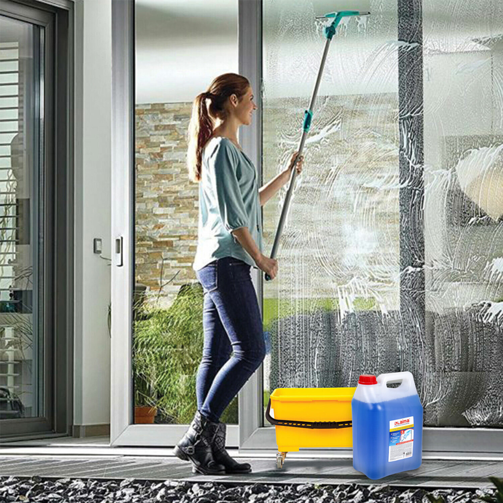 Средство для мытья стекол и зеркал 5 л LAIMA PROFESSIONAL (4 штуки в упаковке)