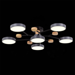 Светильник потолочный Evoluce Faema SLE6006-702-06