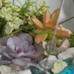 Готовый флорариум с суккулентами Эверест с озером