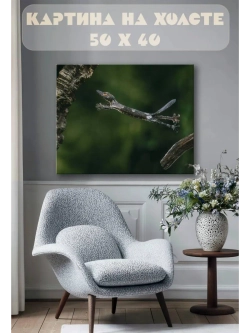 Картина на стену 40 X 50 Ящерица