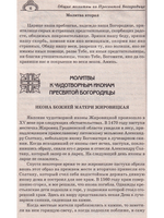 Молитвенный Щит Пресвятой Богородицы