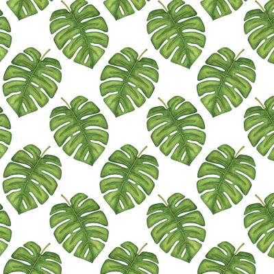 Листья монстеры